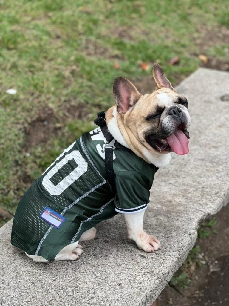 51527816 38f4 499f 849c fd34d15a7bfa.jpg