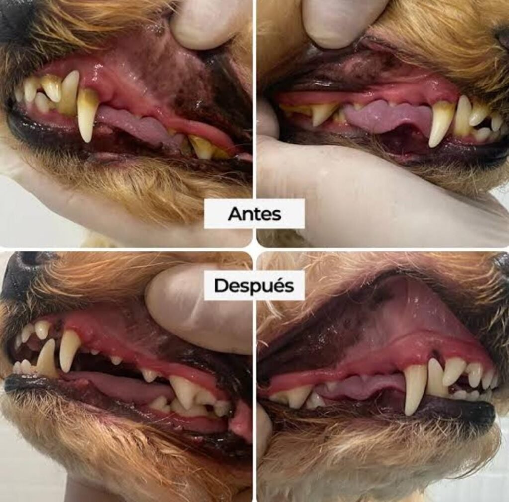 5e6336c5 cf26 4521 848c 450b45949082