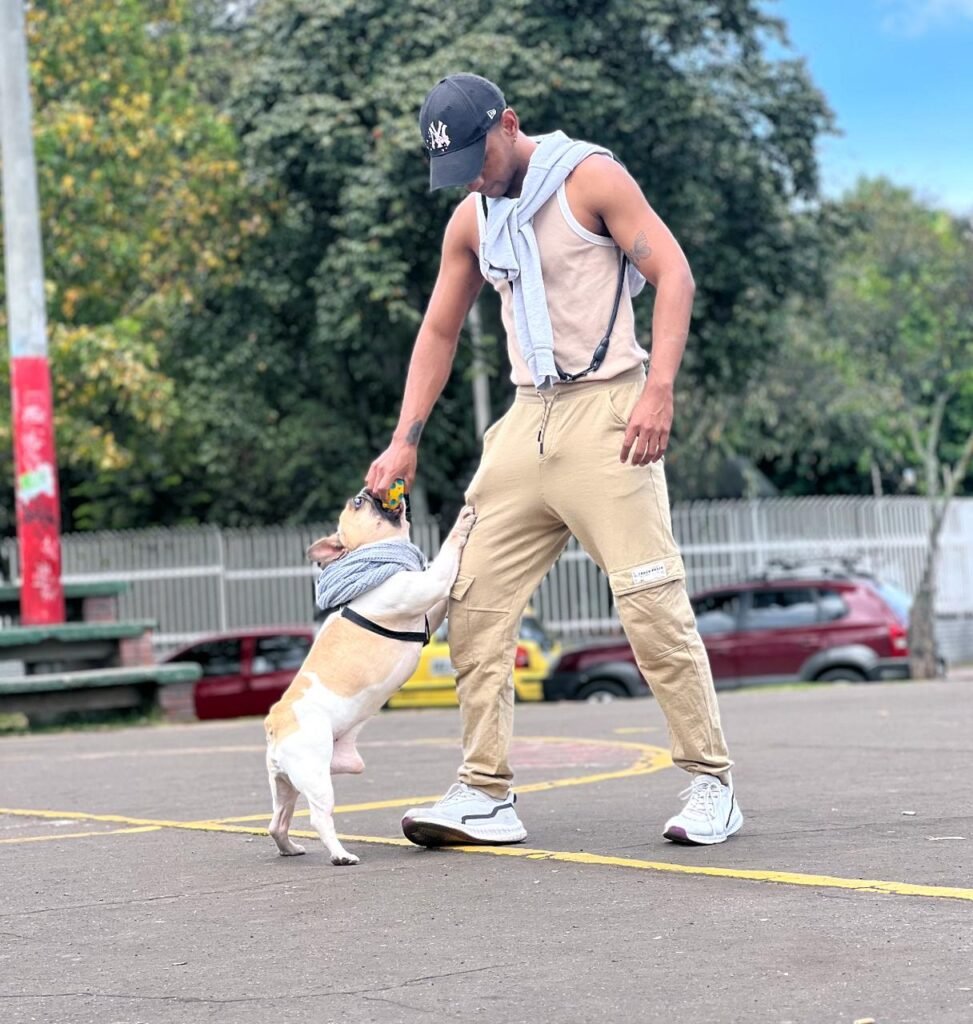 7698d0ef 6f54 4d5d 8bfc d225beb920e2