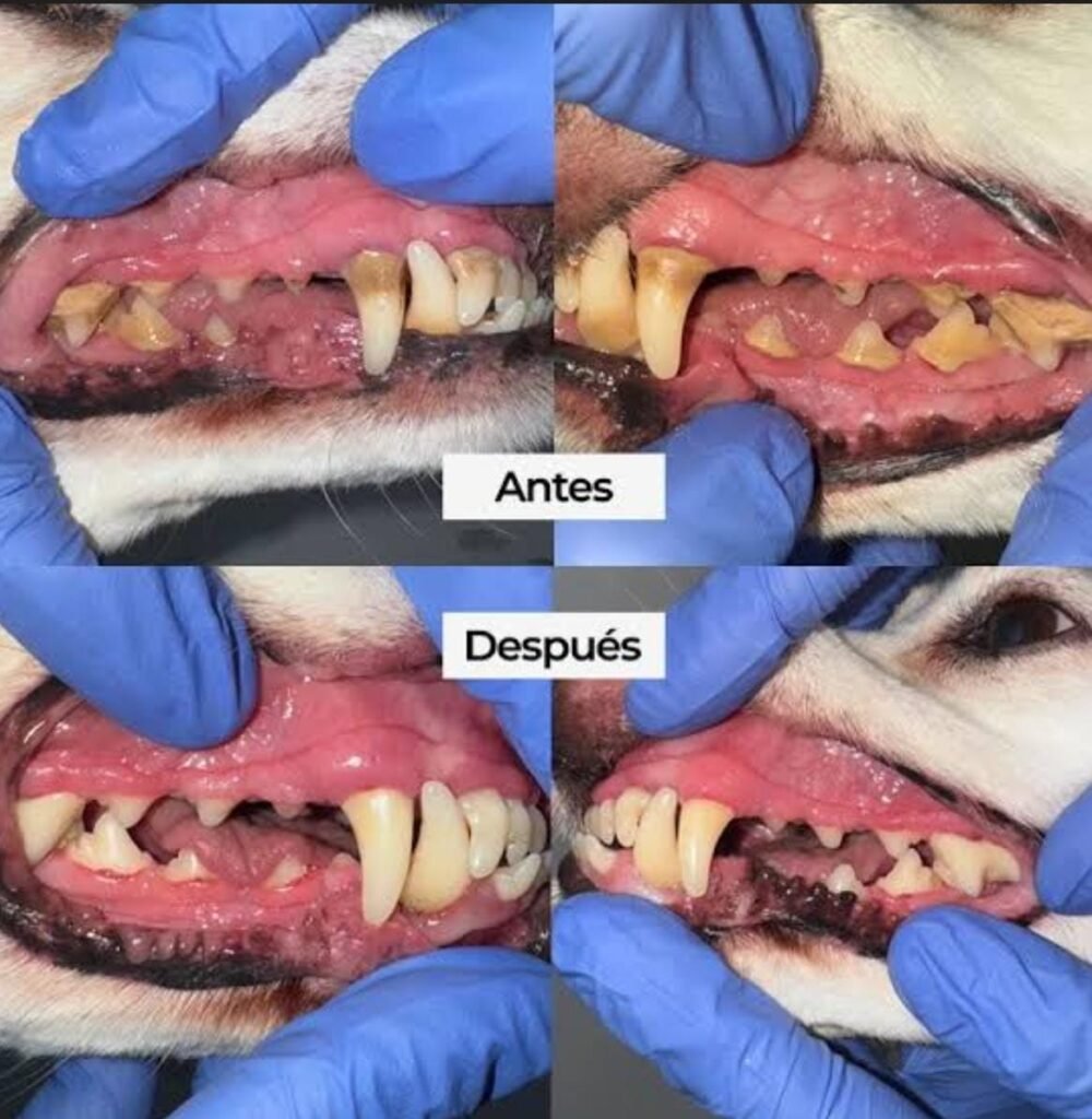 99e9ed1e f2ca 4ed7 9635 f4b01eef4601